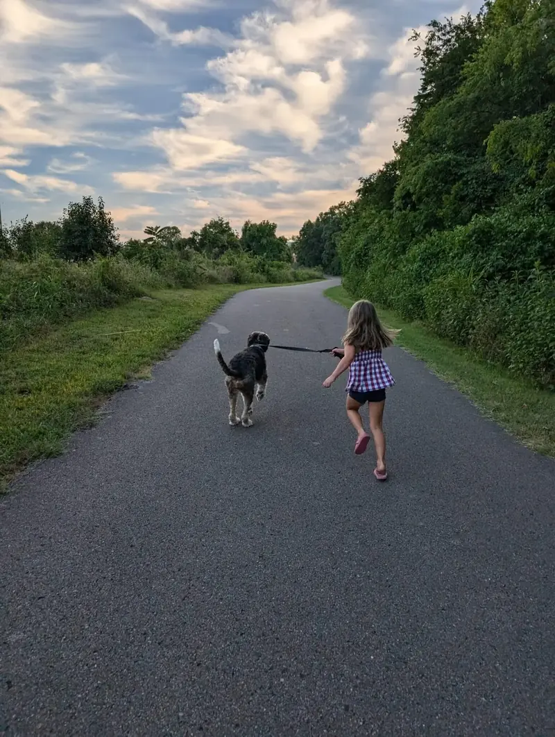 Why I Left 50 Acres for a Nashville Cul-Du-Sac
